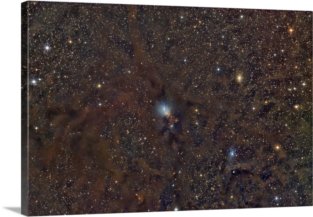 Reflection nebula, NGC 1333