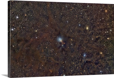 Reflection Nebula, NGC 1333