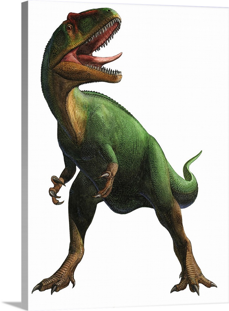 Saurophaganax maximus, a prehistoric era dinosaur.