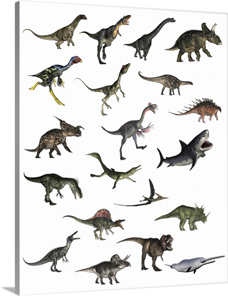 Set of dinosaurs on a white background.