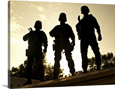Silhouettes Of S.W.A.T. Officers Holding Their Guns