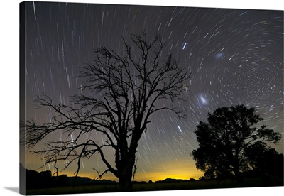 Southern skies star trails, Mudgee, New South Wales, Australia