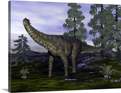 Spinophorosaurus dinosaur next to Wollemia pine trees