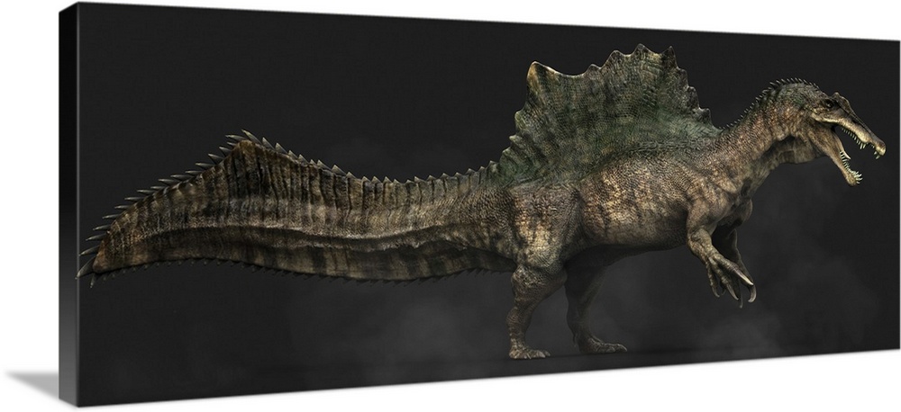 Spinosaurus dinosaur, side view on colored background.