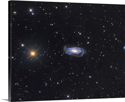 Spiral galaxy NGC 5033 in the constellation Canes Venatici