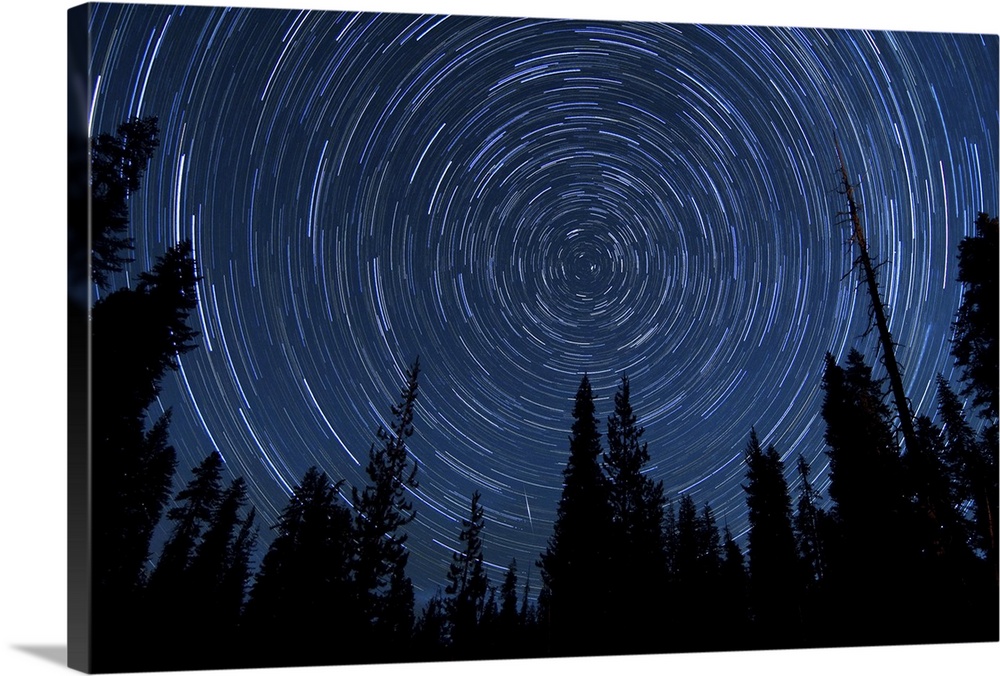 Star trails and a meteor over the pine trees in Lassen Volcanic National Park, California.