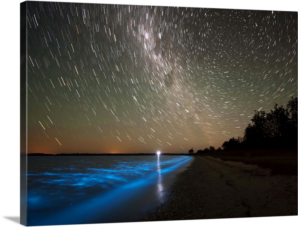 Star trails and bioluminescence in the Gippsland Lakes, Victoria, Australia.