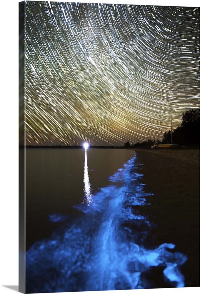 Star trails and bioluminescence in the Gippsland Lakes, Victoria, Australia.