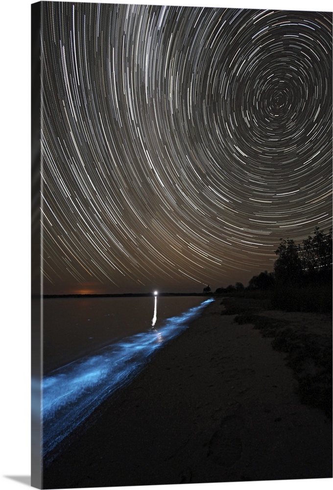 Vertical photograph on a large canvas of a sky full of a circular, spiraling start trails, above the bioluminescence at th...