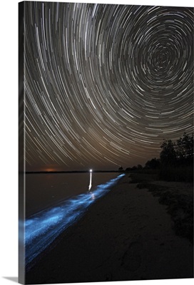 Star trails over bioluminescence in waves on the shores of the Gippsland Lakes Australia