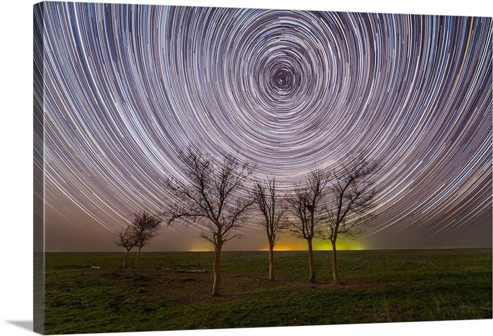 Star trails under the trees in the steppe of Russia.