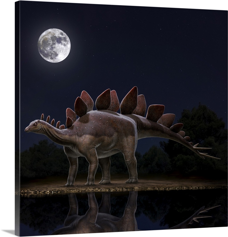 Stegosaurus stenops dinosaur at night.