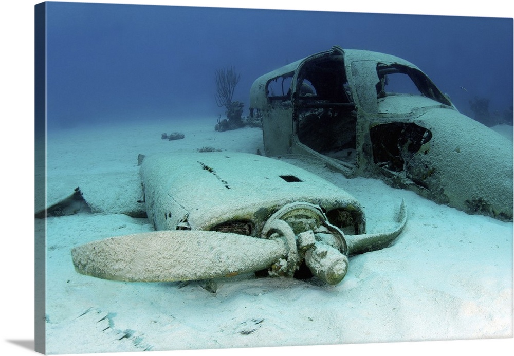 Sunken plane from the film Jaws 4, Nassau, The Bahamas.