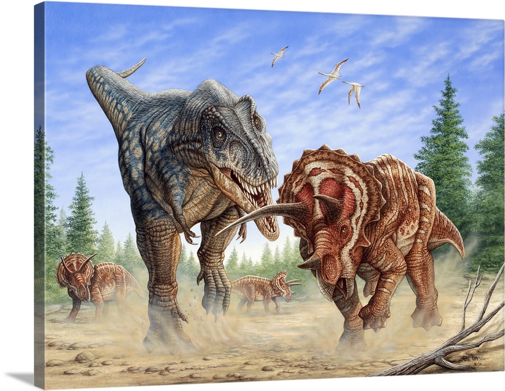 T-rex fighting a group of Triceratops.