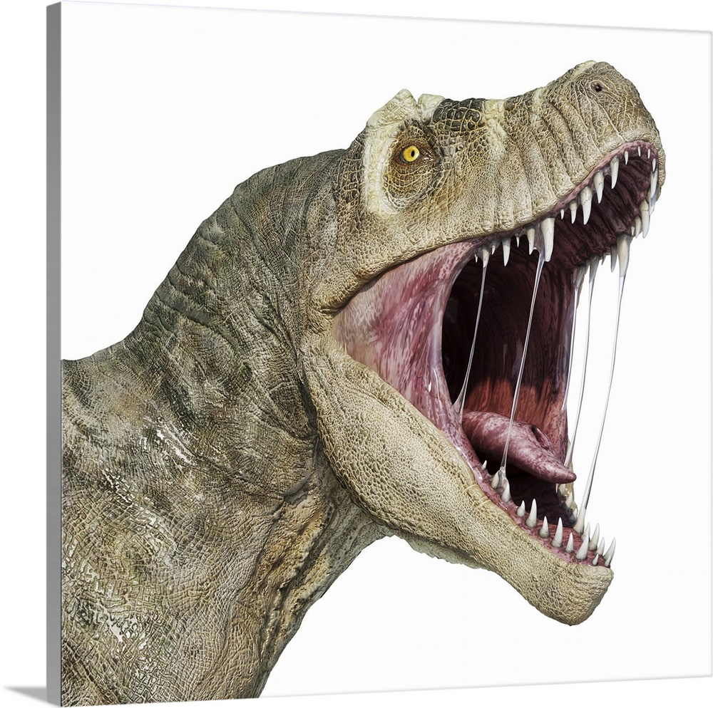 T-rex head with open mouth, isolated on white background.