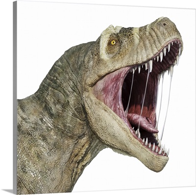 T-Rex Head With Open Mouth, Isolated On White Background