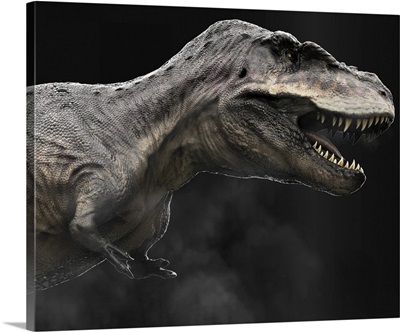 Tarbosaurus Dinosaur, Profile View