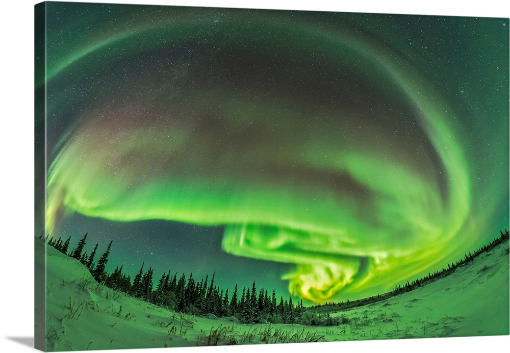 The aurora borealis in a modest display from Churchill, Manitoba.