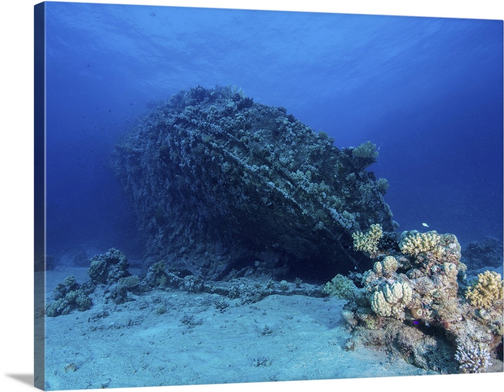 The Chinese tugboat Tien Hsing shipwreck in the Abu Galawa reef, Red Sea, Egypt.