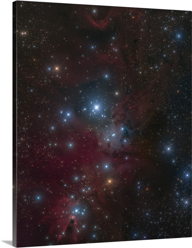 The Christmas Tree Cluster and Cone Nebula