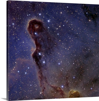 The Elephants Trunk Nebula in the star cluster IC 1396