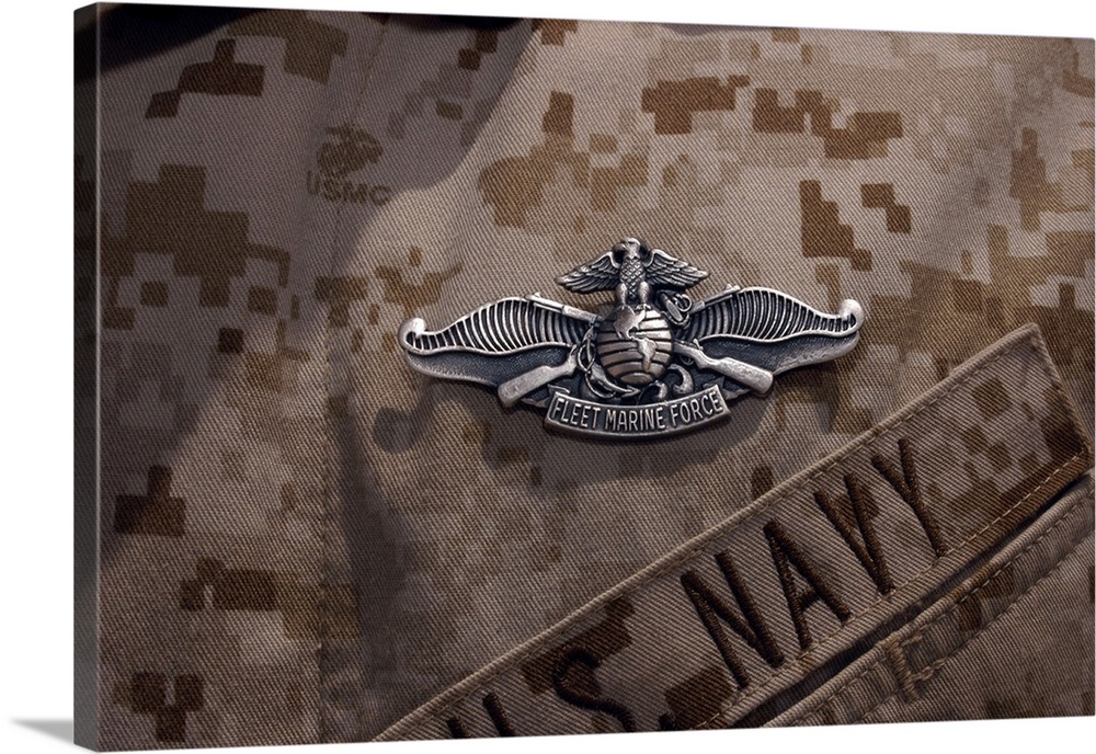 The Enlisted Fleet Marine Force Warfare Specialist pin.