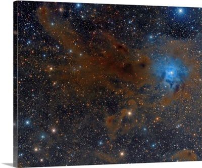 The Iris Nebula In Cepheus