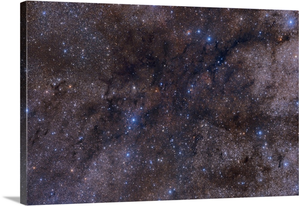 A large dark nebula complex, LDN 1003, that lies between the constellation Cygnus and Cepheus.