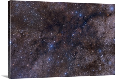 The massive dark nebula complex LDN 1003