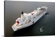 image thumbnail of The Military Sealift Command hospital ship USNS Mercy.