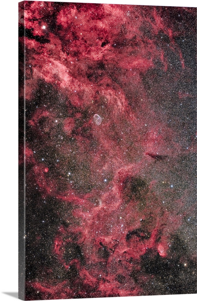 The Milky Way In Central Cygnus Showing A Rich Assortment Of Nebulae, Dust And Gas