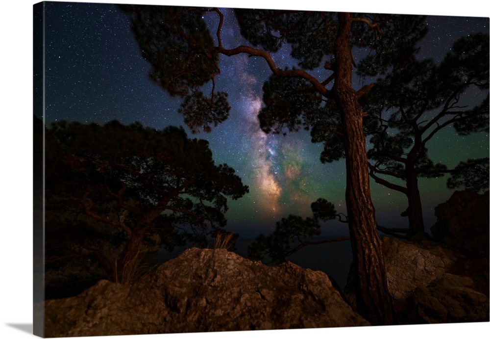 The Milky Way shining through the trees on the coast of the Black Sea.