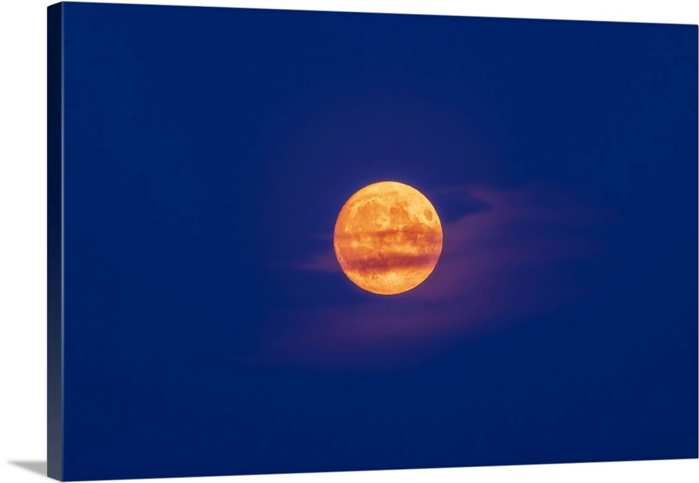 The nearly Full Moon yellowed by smoke and dust in the blue twilight sky, Alberta, Canada
