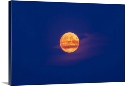 The Nearly Full Moon In The Blue Twilight Sky, Alberta, Canada