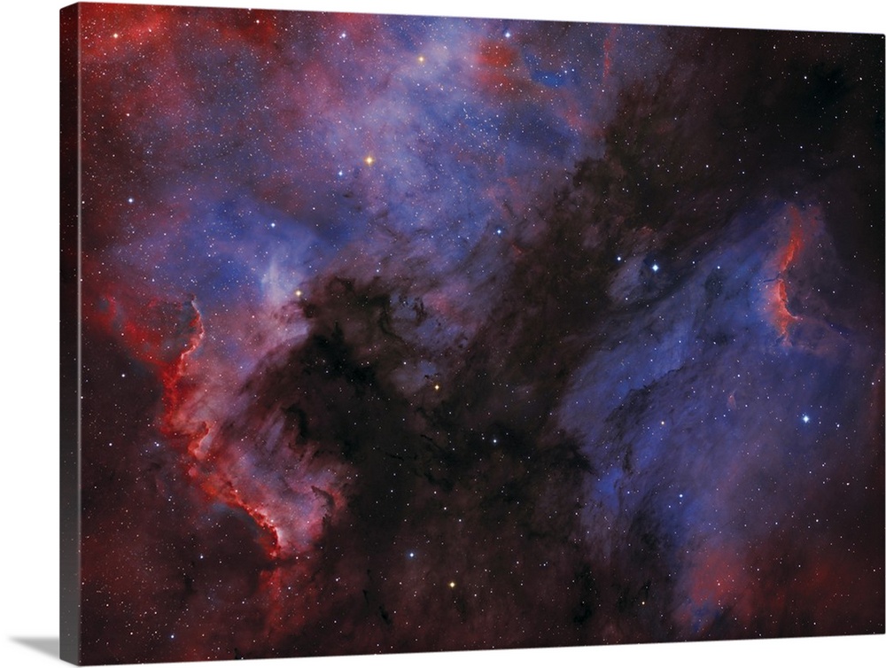 The North America Nebula (NGC 7000) and the Pelican Nebula in the constellation Cygnus.