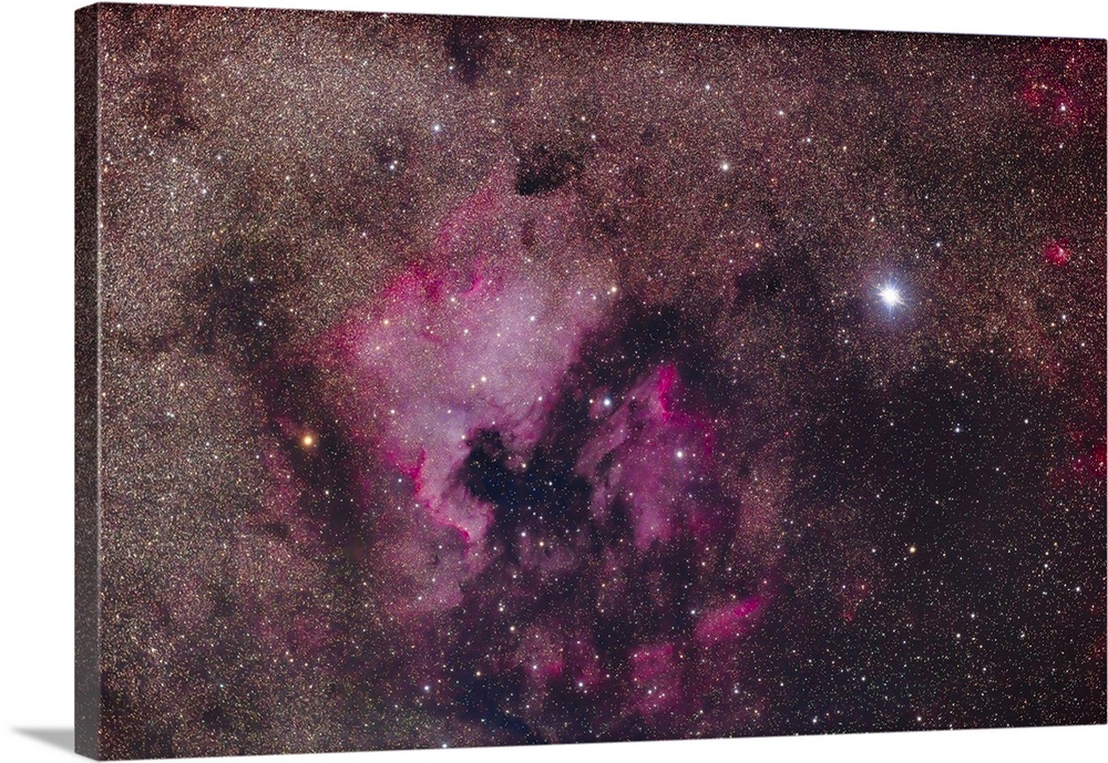 The North America Nebula and the Pelican Nebula complex in Cygnus, with bright star Deneb