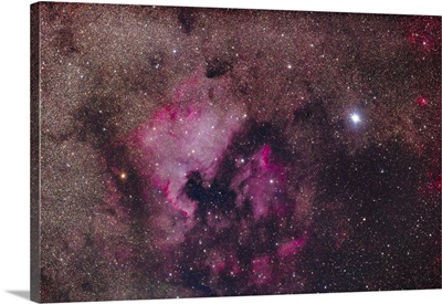 The North America Nebula And The Pelican Nebula Complex In Cygnus With Deneb