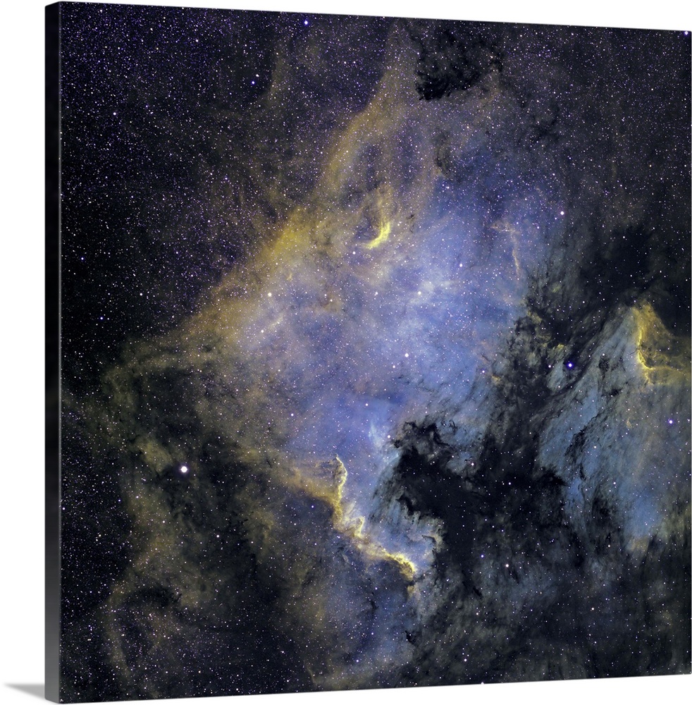 The North America Nebula and the Pelican Nebula in the constellation Cygnus