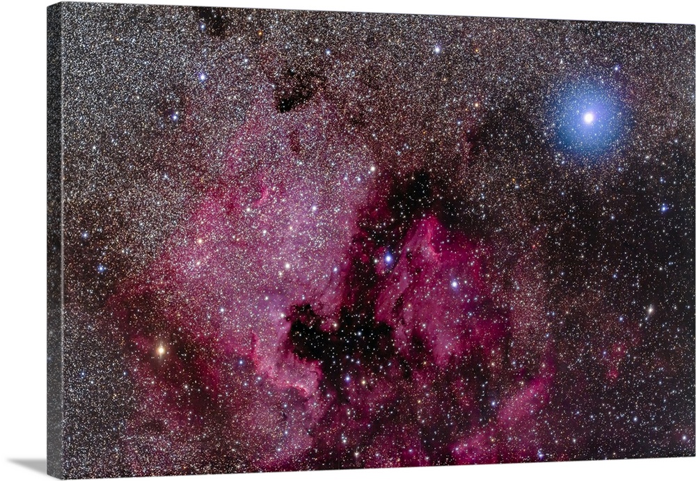 The North America Nebula near teh bright blue-white star Deneb.