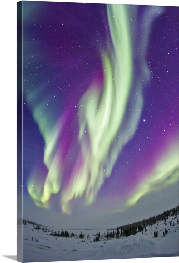Where, When and How to See Northern Lights in Churchill, Manitoba
