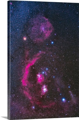 The Orion Molecular Cloud Complex