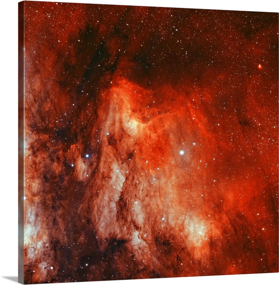 IC 5070, the Pelican Nebula.