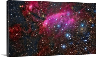 The Prawn Nebula In The Constellation Scorpius