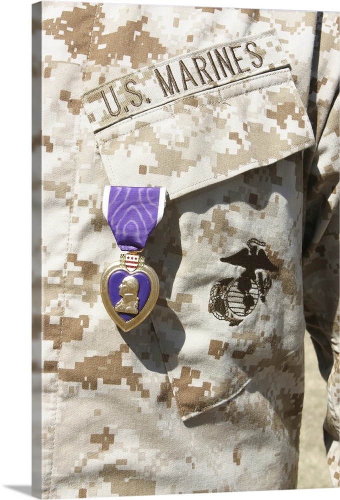 Marine Corps Base Camp Lejeune, North Carolina, February 18, 2004 ae" The Purple Heart award hangs over the heart of a U.S...