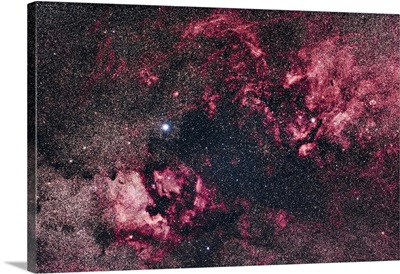 The Rich Nebulosity In Cygnus, With The North America Nebula And Crescent Nebula