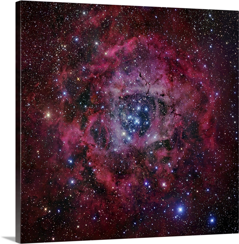 Square, oversized wall hanging of the Rosette Nebula, surrounded by vibrant clouds and the blackness of space full of stars.