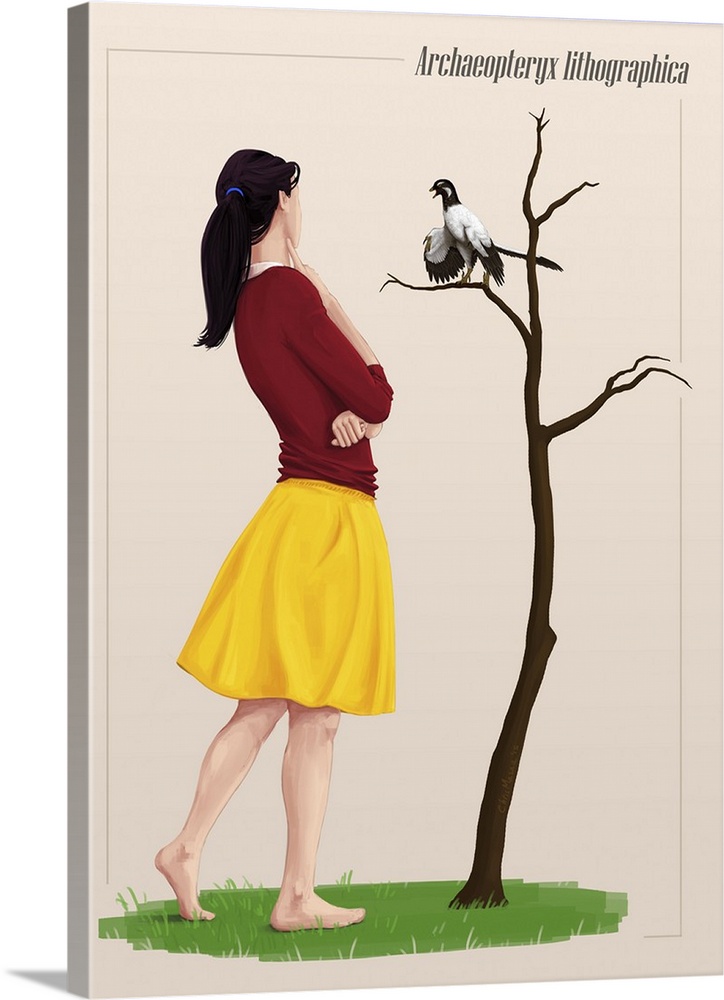 The size of an Archaeopteryx perched on a tree branch compared to a young adult.