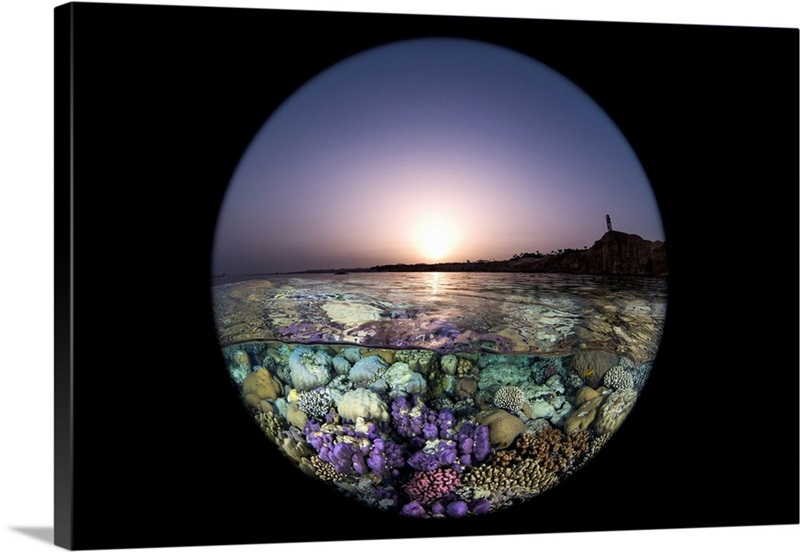 The Sunset Over The Coral Gardens In The Red Sea Wall Art, Canvas