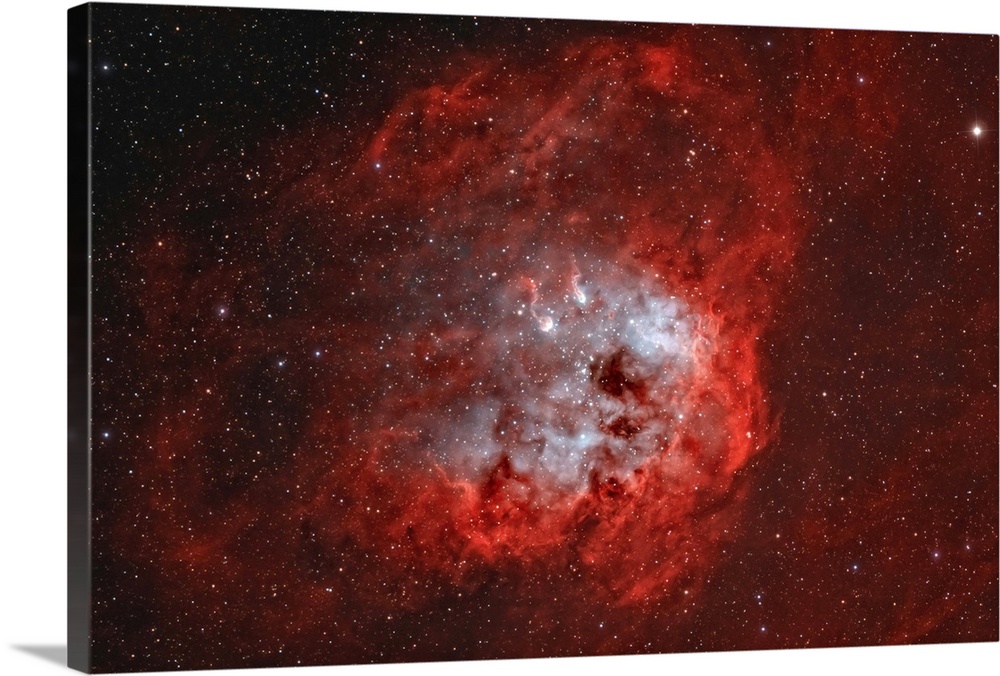 IC 410, The Tadpole Nebula in Auriga.