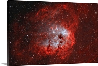 The Tadpole Nebula